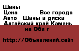 Шины bridgestone potenza s 2 › Цена ­ 3 000 - Все города Авто » Шины и диски   . Алтайский край,Камень-на-Оби г.